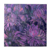Chrysanthemum Blume Blumenfarbe Violett Rosa Fliese (Vorderseite)