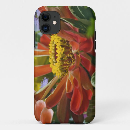 Chrysanthemum-Blume Case-Mate iPhone Hülle (Rückseite)