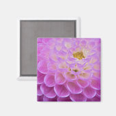Chrysanthemum-Blume, die Grabstätte in Magnet (Vorderseite/Rückseite)