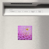 Chrysanthemum-Blume, die Grabstätte in Magnet (In Situ (Geschirrspüler))