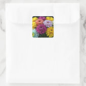 Chrysanthemum Blume Farbenfrohe Blossom Dekoration Quadratischer Aufkleber (Tasche)