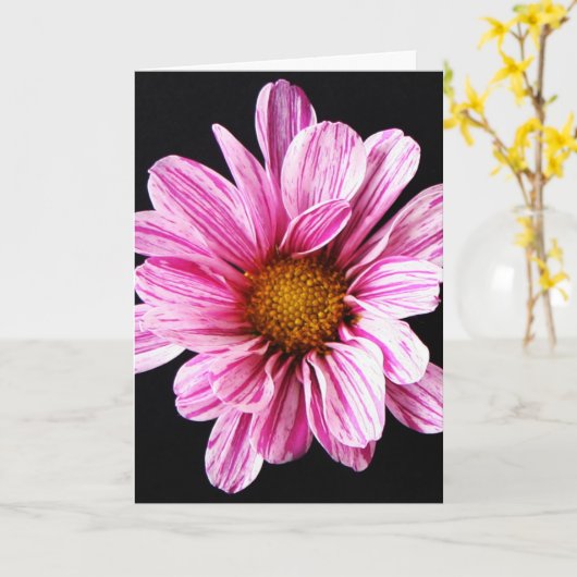 Chrysanthemum Blume gccna Karte (Gelbe Blume)