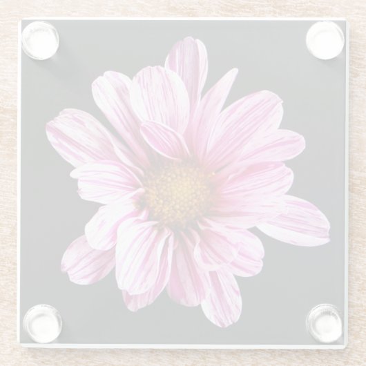 Chrysanthemum Blume Küstenercna Glasuntersetzer (Rückseite)