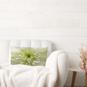 CHRYSANTHEMUM-BLUME LENDENKISSEN