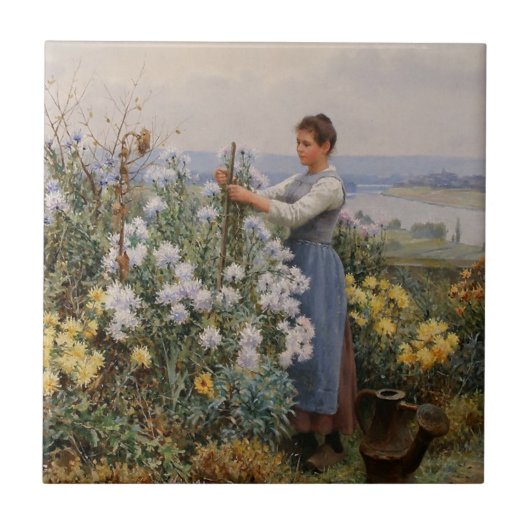 Chrysanthemum Blume (Mädchen im Garten) Fliese (Vorderseite)