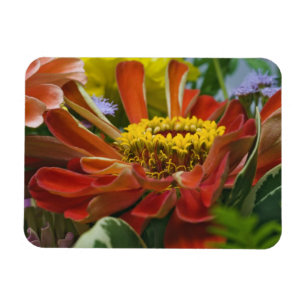 Chrysanthemum-Blume Magnet
