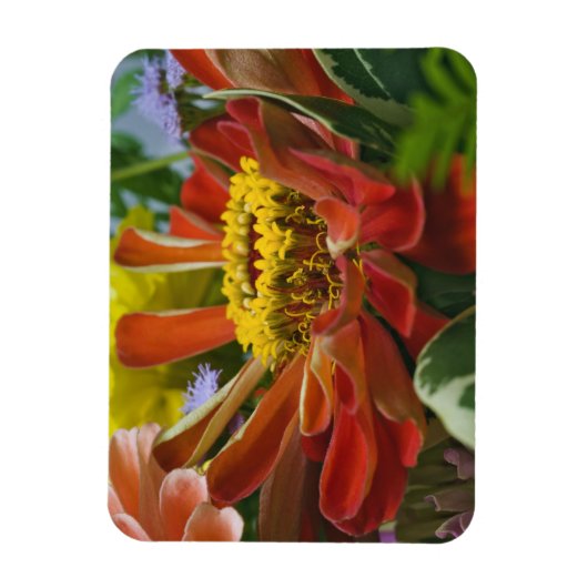 Chrysanthemum-Blume Magnet (Vertikal)