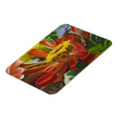 Chrysanthemum-Blume Magnet (Linke Seite)