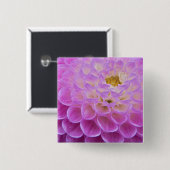 Chrysanthemum-Blume mit Grabstätte in Button (Vorne & Hinten)