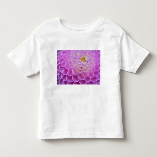 Chrysanthemum-Blume mit Grabstätte in Kleinkind T-shirt (Vorderseite)