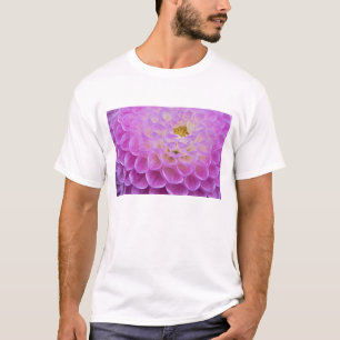 Chrysanthemum-Blume mit Grabstätte in T-Shirt