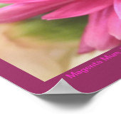 Chrysanthemum Blume Mums Blume Foto Poster (Ecke)