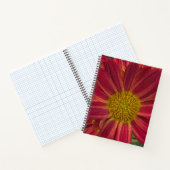 Chrysanthemum-Blume Notizblock (Innenseite)