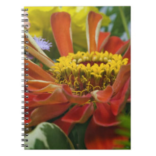 Chrysanthemum-Blume Notizblock