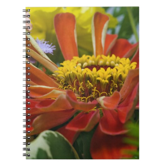 Chrysanthemum-Blume Notizblock (Vorderseite)