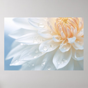 Chrysanthemum Blume Petal Nature Poster
