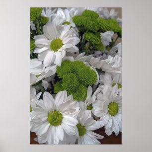 Chrysanthemum Blume Poster