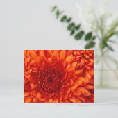 Chrysanthemum-Blume Postkarte (Stehend Vorderseite)