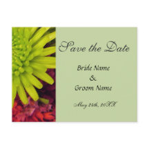 chrysanthemum Blume Save the Date Postkarte.