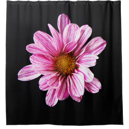 Chrysanthemum Blume scccnm Duschvorhang (Vorderseite)