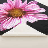 Chrysanthemum-Blume Sherpadecke (3/4)