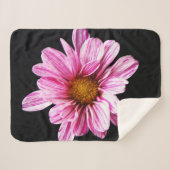 Chrysanthemum-Blume Sherpadecke (Vorderseite (Horizontal))