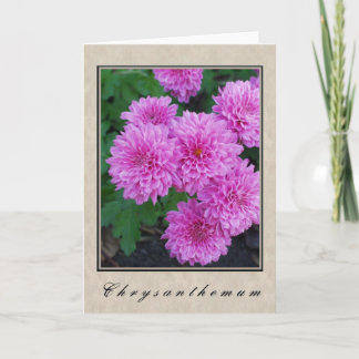 Chrysanthemum - Blumenserie Karte