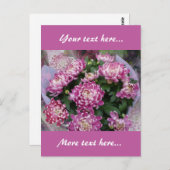 Chrysanthemum Bouquet Post Card Postkarte (Vorne/Hinten)