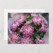 Chrysanthemum Bouquet Postkarte (Vorne/Hinten)