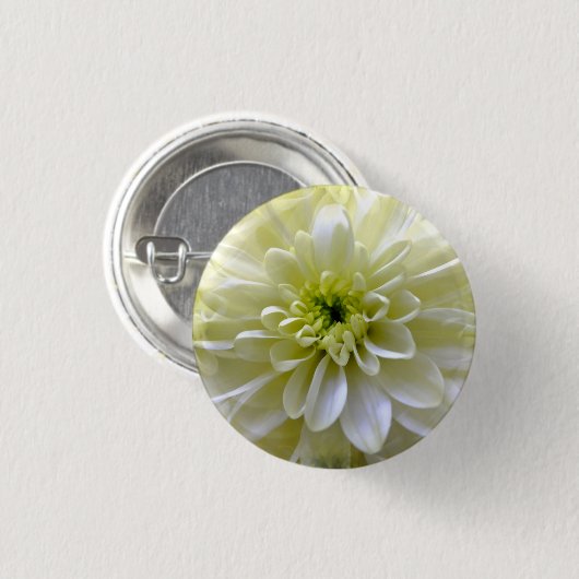 CHRYSANTHEMUM BUTTON (Vorne & Hinten)