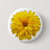 Chrysanthemum Button (Vorderseite)