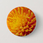 Chrysanthemum Button (Vorderseite)