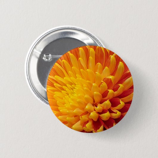 Chrysanthemum Button (Vorne & Hinten)