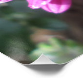Chrysanthemum Dark Red Blume Poster (Ecke)