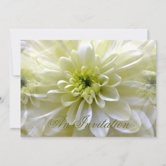 CHRYSANTHEMUM EINLADUNG (Vorderseite)