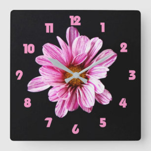 Chrysanthemum Flower Pink Fat Numbers wccn Quadratische Wanduhr