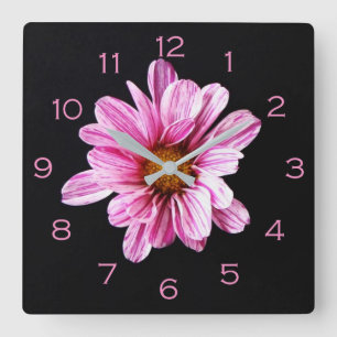 Chrysanthemum Flower Pink Numbers wccn Quadratische Wanduhr