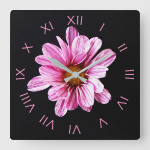 Chrysanthemum Flower Pink Roman Numbers wccn Quadratische Wanduhr