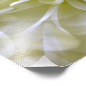 CHRYSANTHEMUM FOTODRUCK (Ecke)