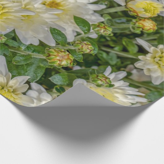 Chrysanthemum Geschenkpapier (Ecke)