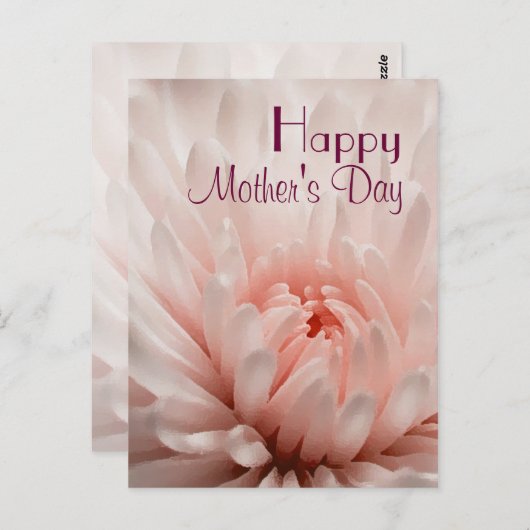 Chrysanthemum - Glücklicher Muttertag individuell Postkarte (Vorne/Hinten)