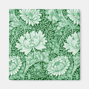 Chrysanthemum Green, Magnet