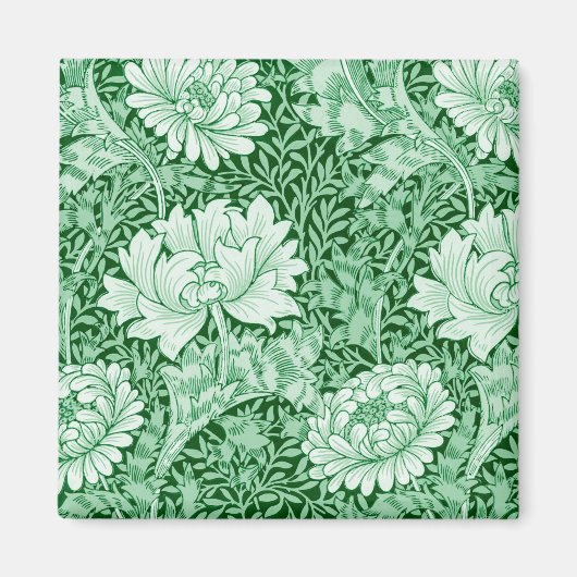 Chrysanthemum Green, Magnet (Vorne)
