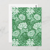 Chrysanthemum Green, Postkarte (Vorne/Hinten)