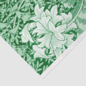 Chrysanthemum Green, William Morris Seidenpapier (Ausschnitt)