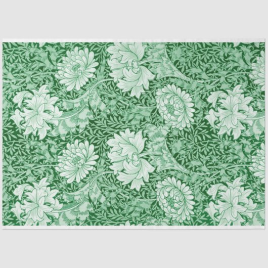 Chrysanthemum Green, William Morris Seidenpapier (Vorderseite)