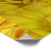 Chrysanthemum Group Pflanzen Yellow Poster (Ecke)