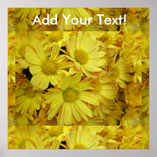 Chrysanthemum Group Pflanzen Yellow Poster