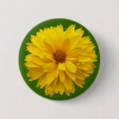 Chrysanthemum - Grün Button (Vorderseite)