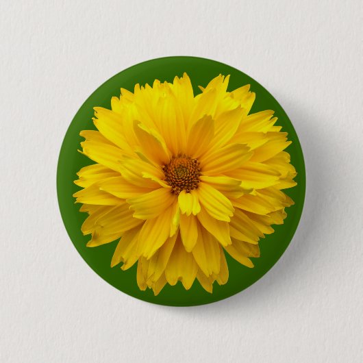 Chrysanthemum - Grün Button (Vorderseite)